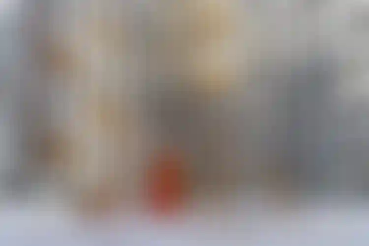 Изображение галереи