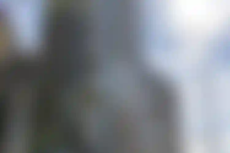 Изображение галереи