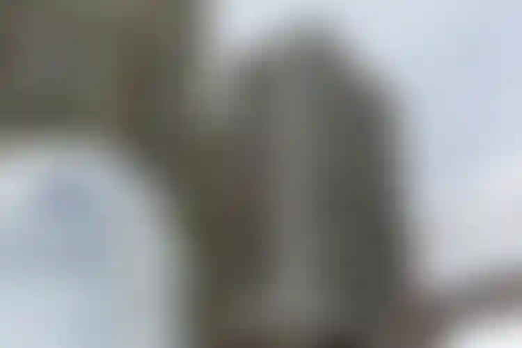 Изображение галереи