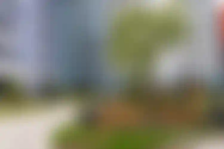 Изображение галереи