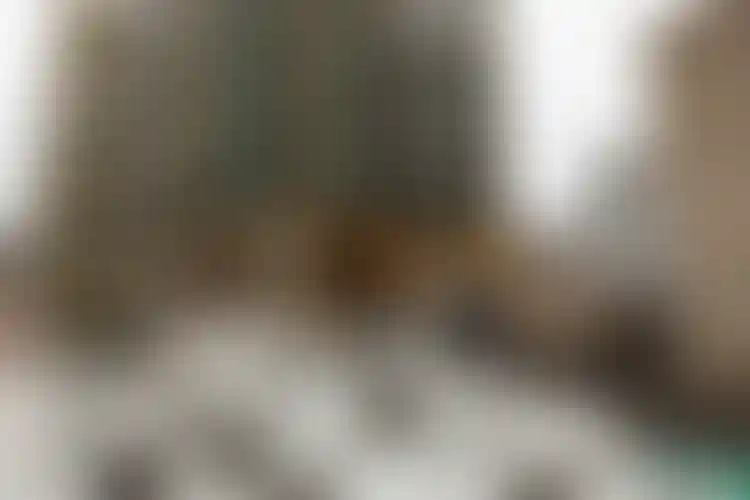 Изображение галереи