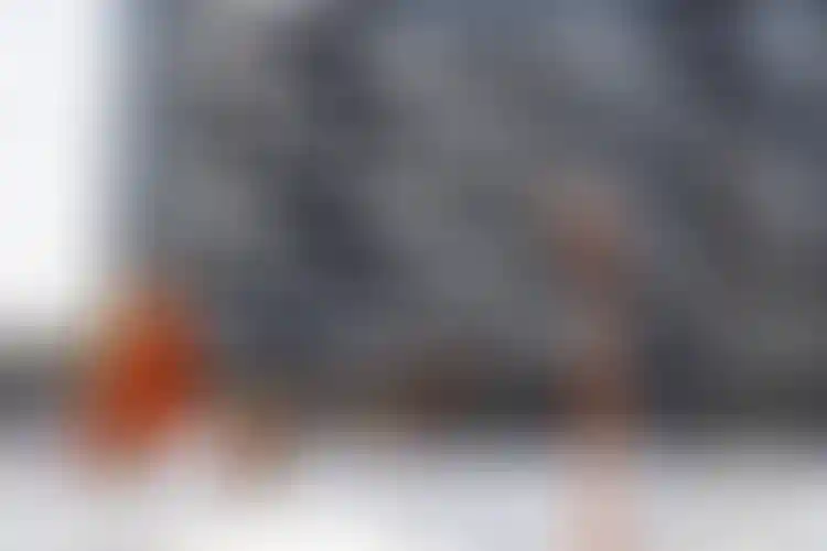 Изображение галереи