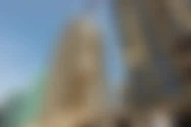 Изображение галереи