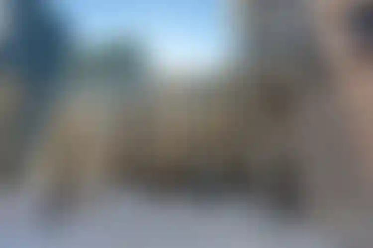 Изображение галереи