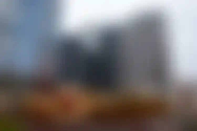 Изображение галереи