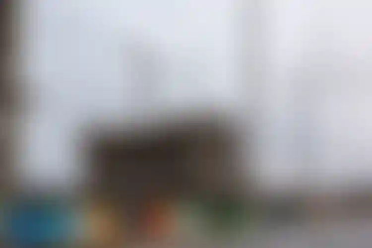 Изображение галереи