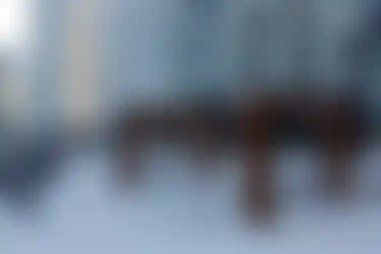 Изображение галереи