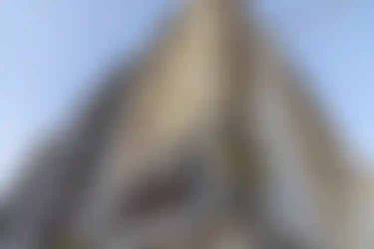 Изображение галереи