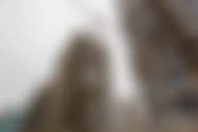 Изображение галереи