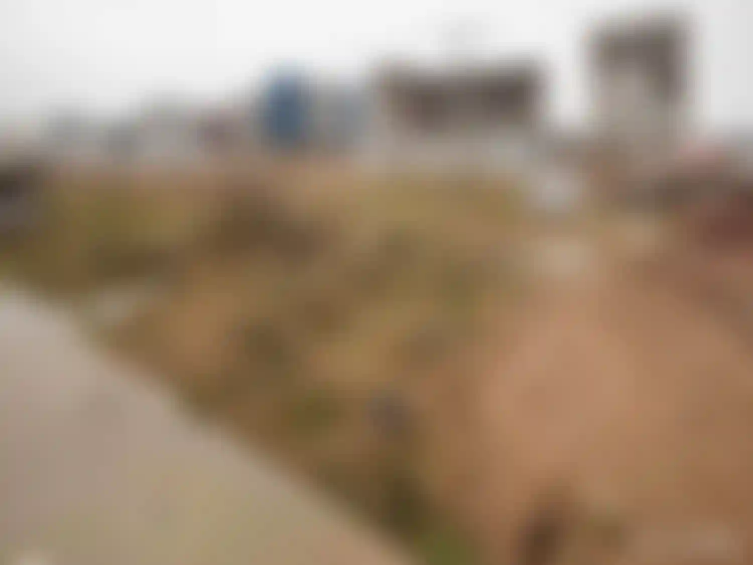 Изображение галереи