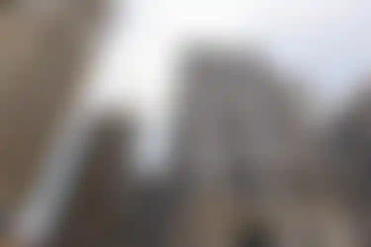 Изображение галереи