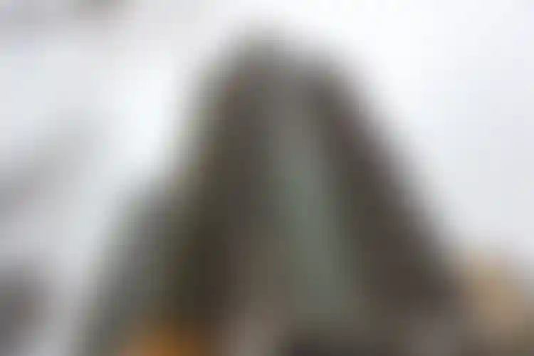 Изображение галереи