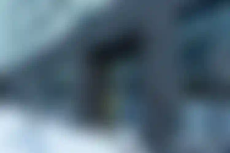 Изображение галереи