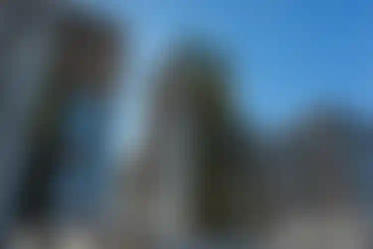 Изображение галереи