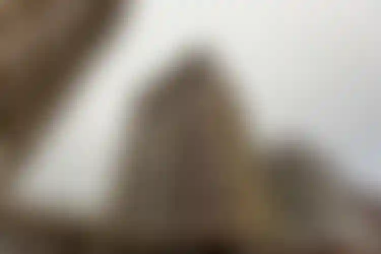 Изображение галереи