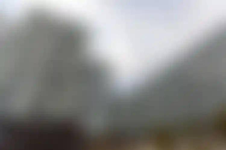 Изображение галереи