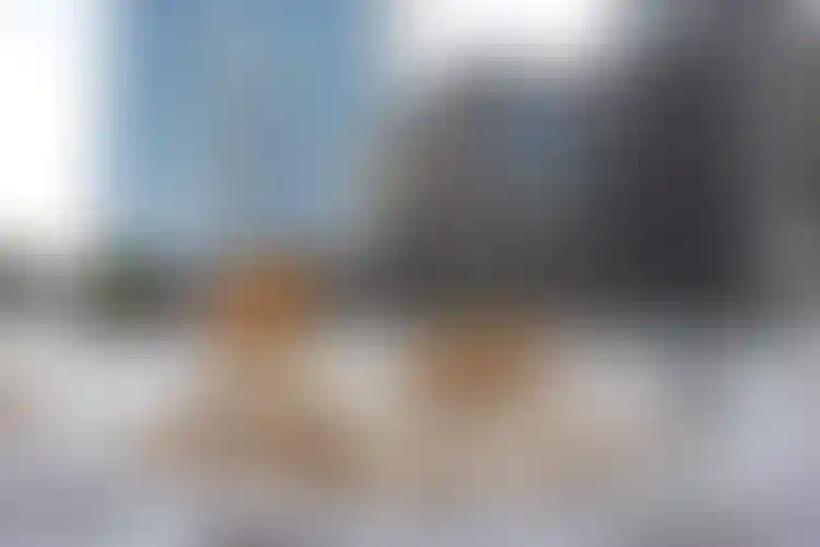 Изображение галереи