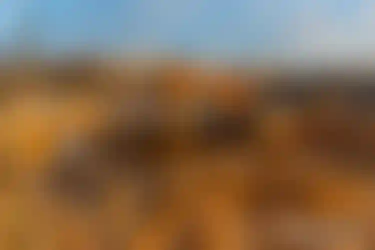 Изображение галереи