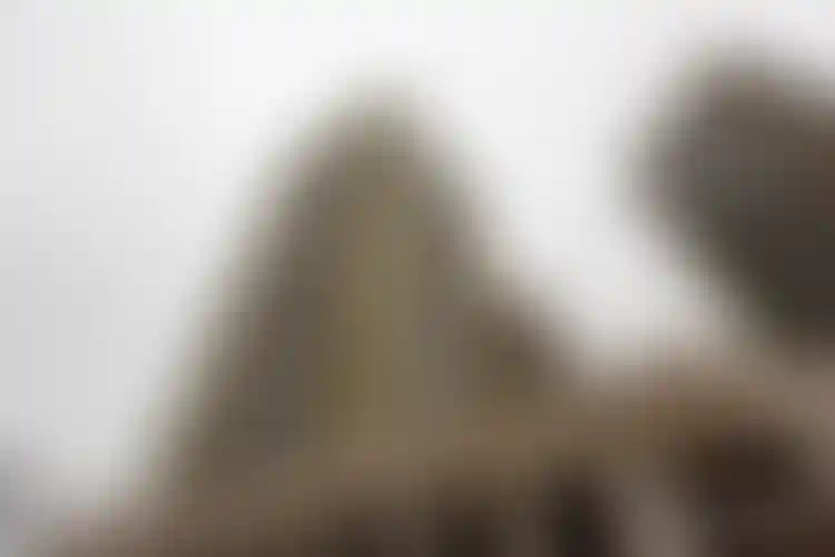 Изображение галереи