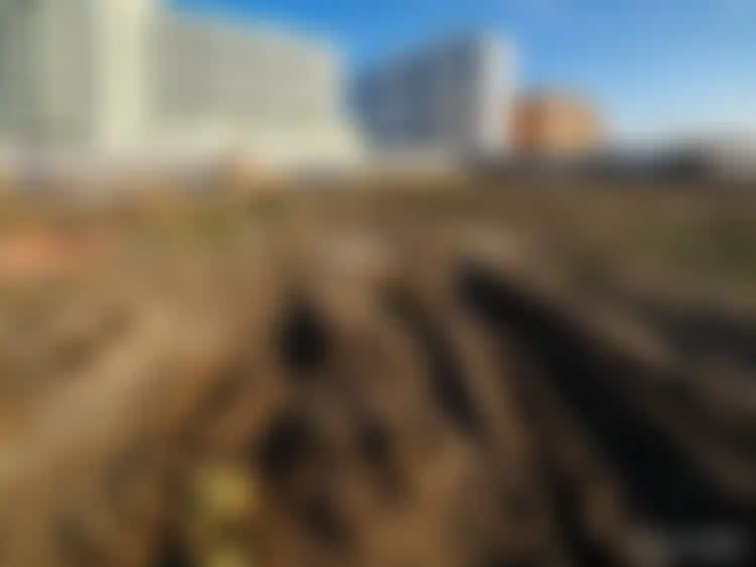 Изображение галереи