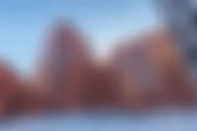 Изображение галереи