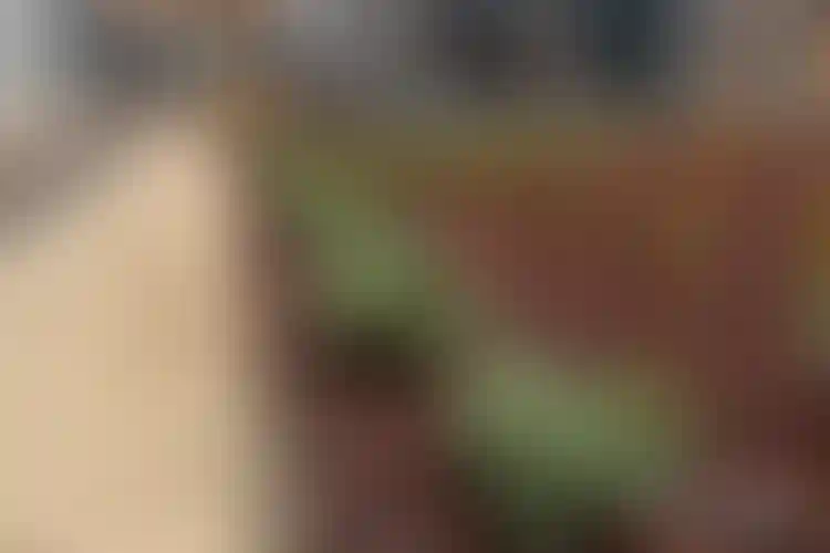 Изображение галереи