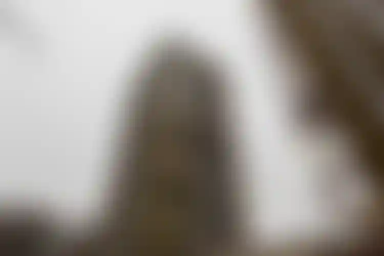 Изображение галереи