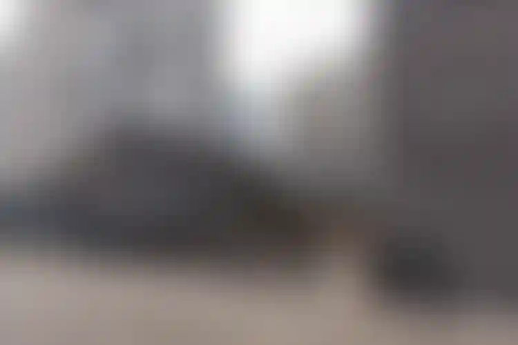 Изображение галереи