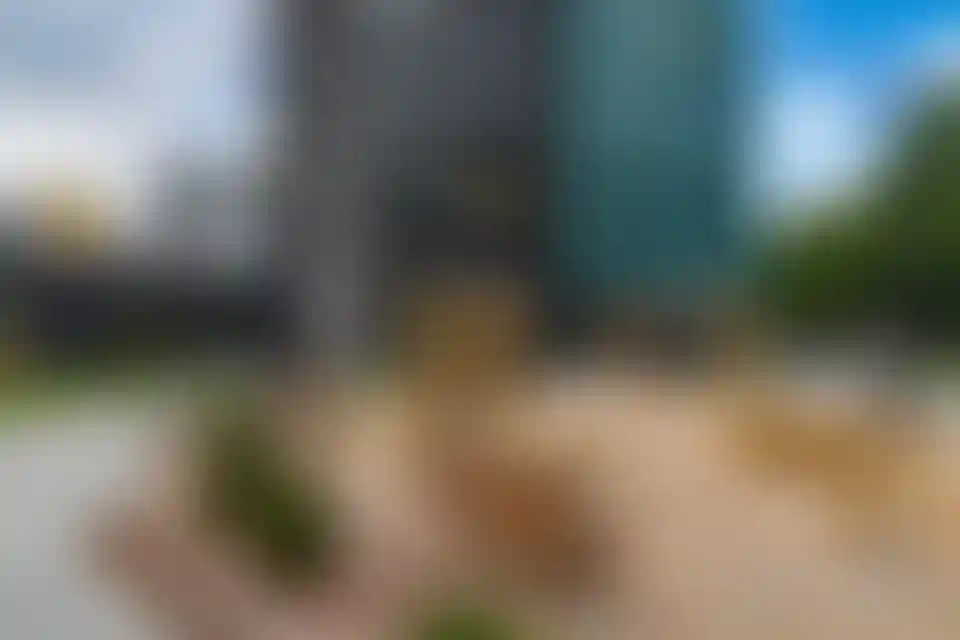 Изображение галереи