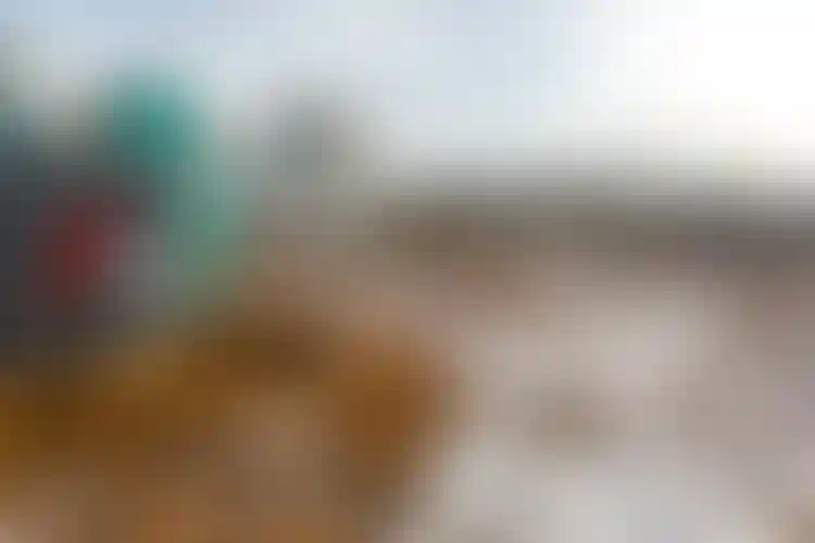 Изображение галереи