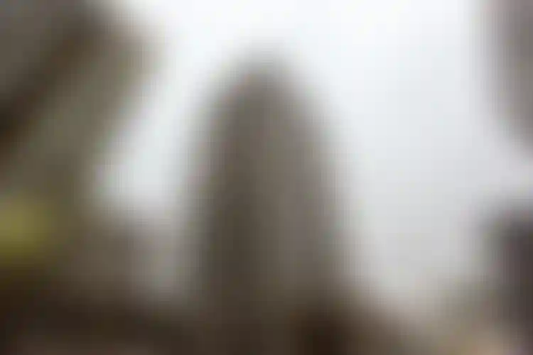 Изображение галереи