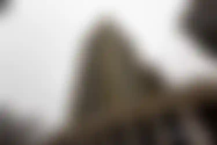 Изображение галереи