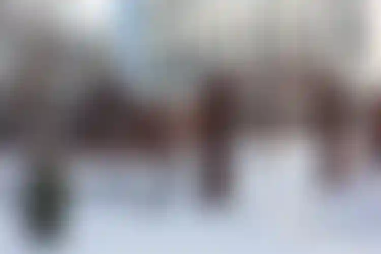 Изображение галереи