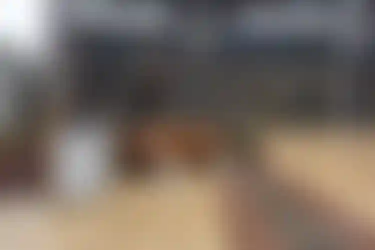 Изображение галереи