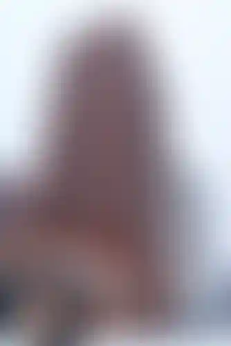 Изображение галереи