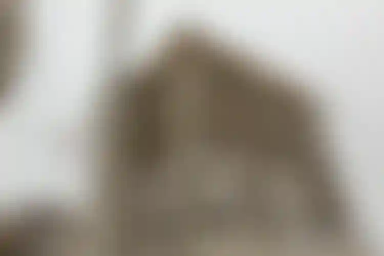 Изображение галереи