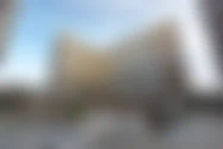 Изображение галереи