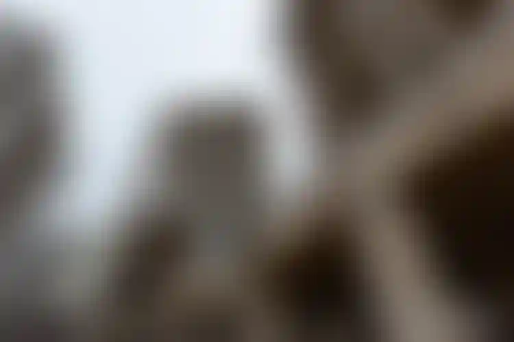 Изображение галереи