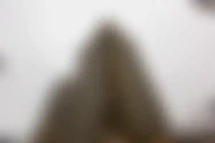 Изображение галереи