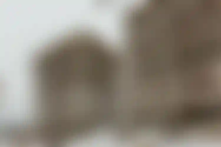 Изображение галереи