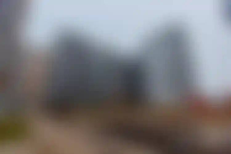 Изображение галереи