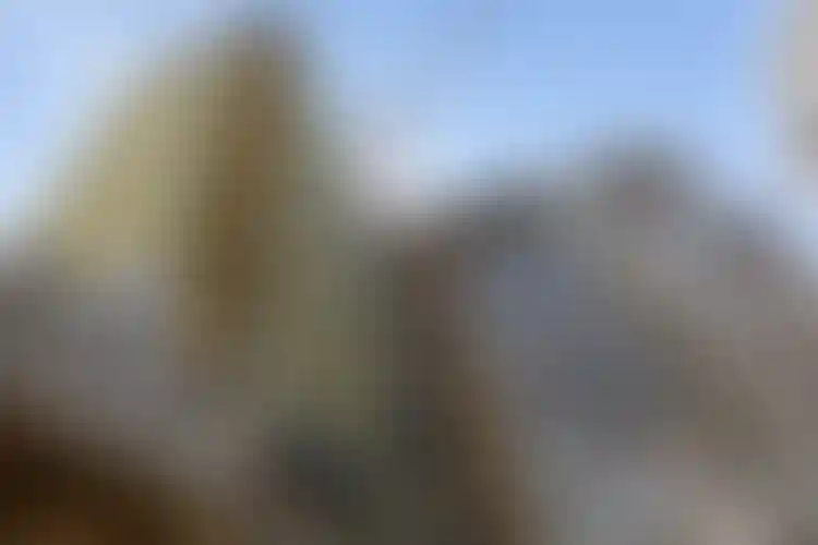 Изображение галереи