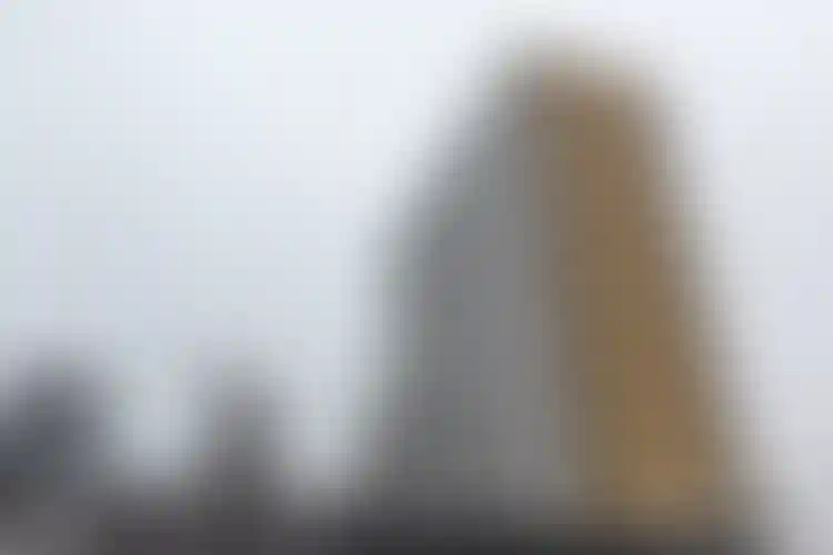 Изображение галереи