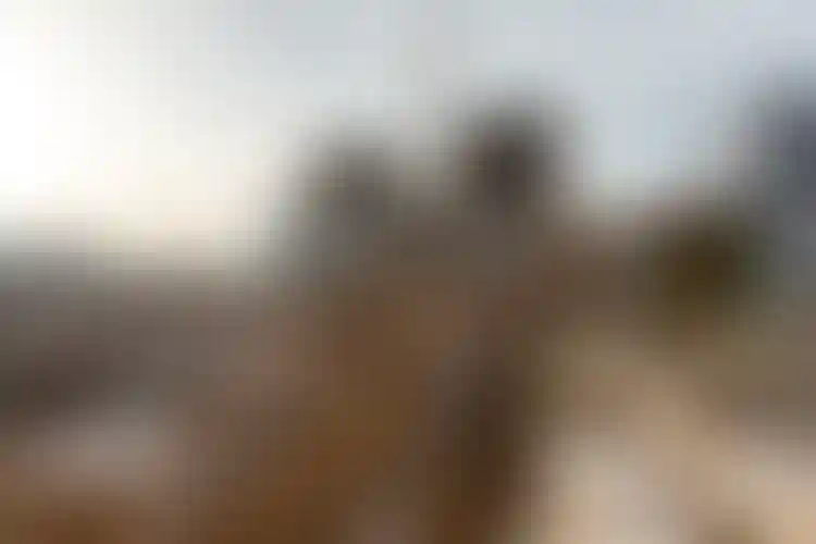 Изображение галереи