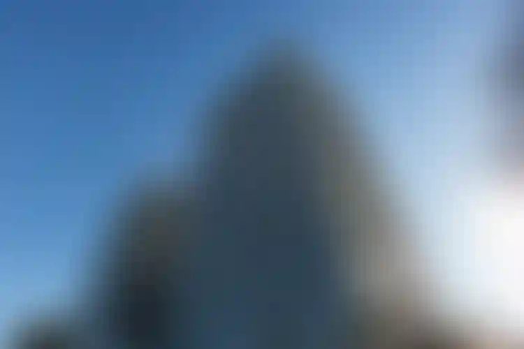 Изображение галереи