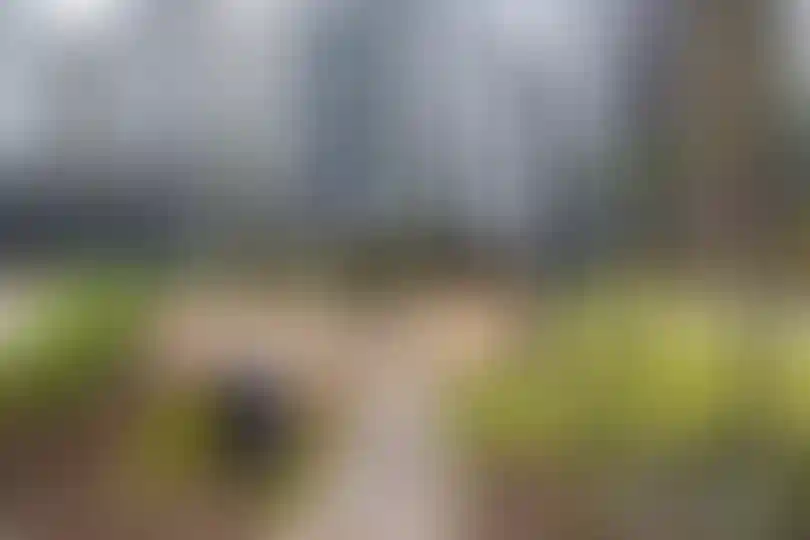 Изображение галереи