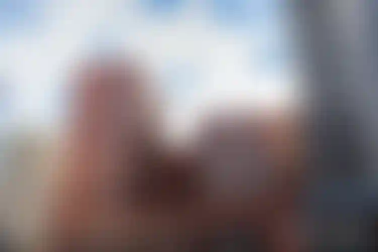 Изображение галереи