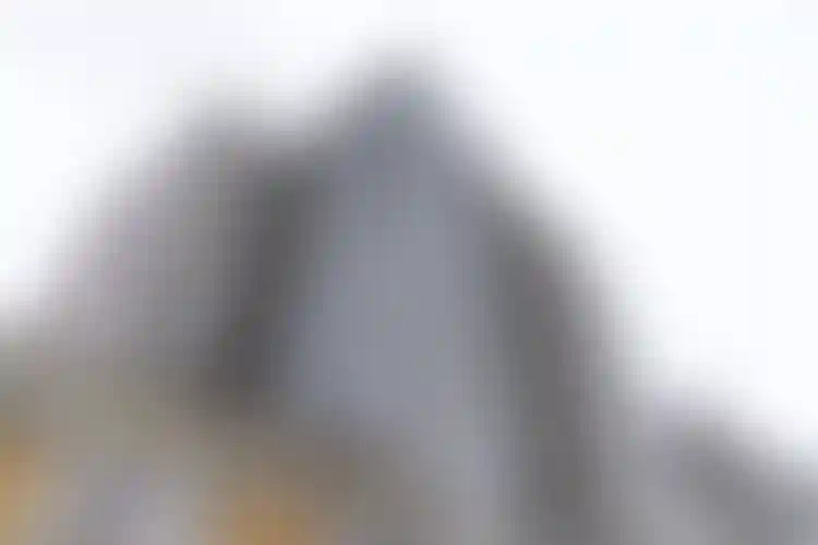 Изображение галереи