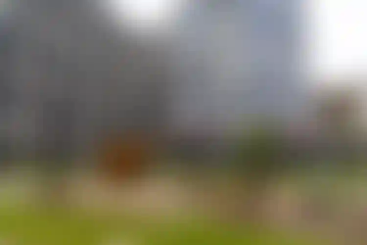 Изображение галереи