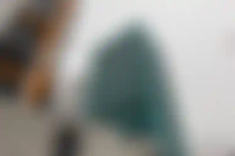 Изображение галереи